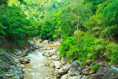 OB luang Tayland ormandaki nehir dağ