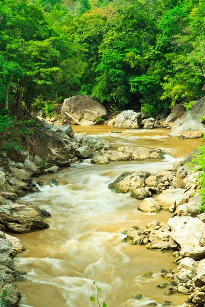 Ob luang horská řeka v lese, Thajsko — Stock fotografie