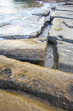 75 milyon yıllık fosil kabuğu Tayland