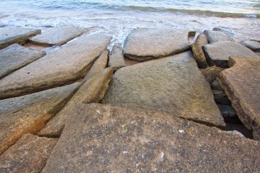 75 milyon yıllık fosil kabuğu Tayland