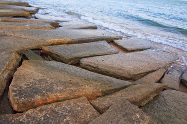 75 milyon yıllık fosil kabuğu Tayland