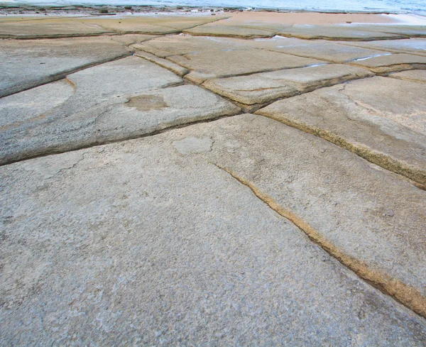 7500 万歳タイの殻化石 — ストック写真