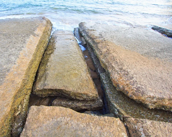 75 miljoen jaar oude fossiele schelp van thailand — Stockfoto