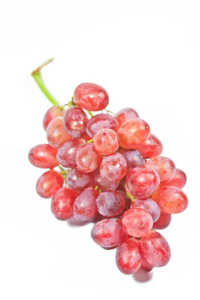 赤ブドウ分離マクロ — ストック写真