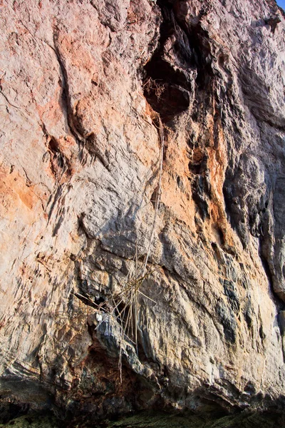 Cueva en la isla - lugar de la colección de nidos de aves Tailandia —  Fotos de Stock