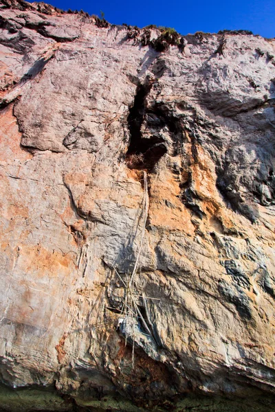 Cueva en la isla - lugar de la colección de nidos de aves Tailandia —  Fotos de Stock