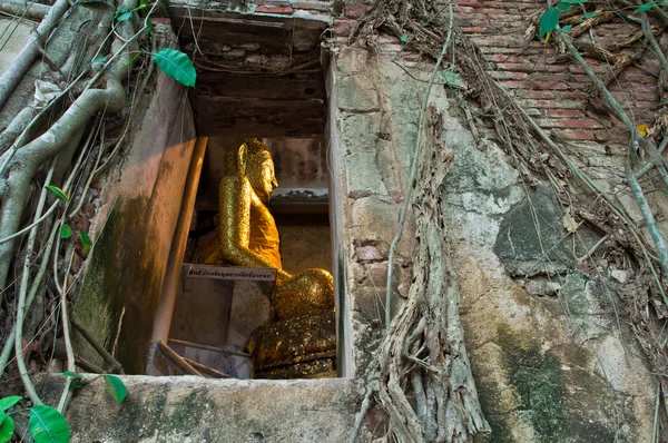 Starożytnego Kościoła Buddyjskiego, otoczony przez korzenie drzew w Tajlandia, Azja — Zdjęcie stockowe
