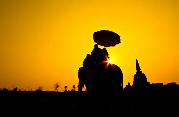 Sunset tailandés campo tailandés thailand —  Fotos de Stock