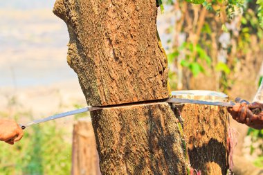 Logger adam kesme ahşap