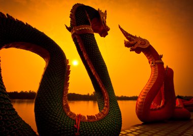 gün batımı ve Ejder yılan