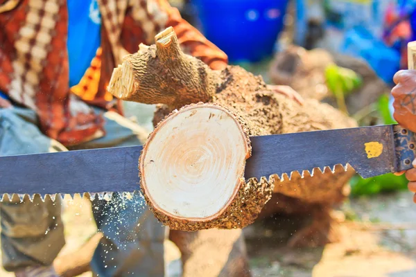 Logger man snijden hout — Stockfoto