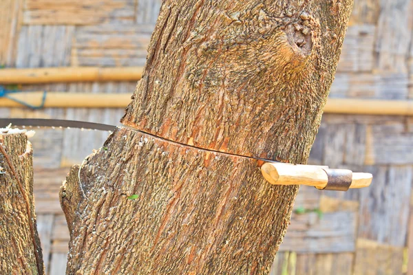 Logger man snijden hout — Stockfoto