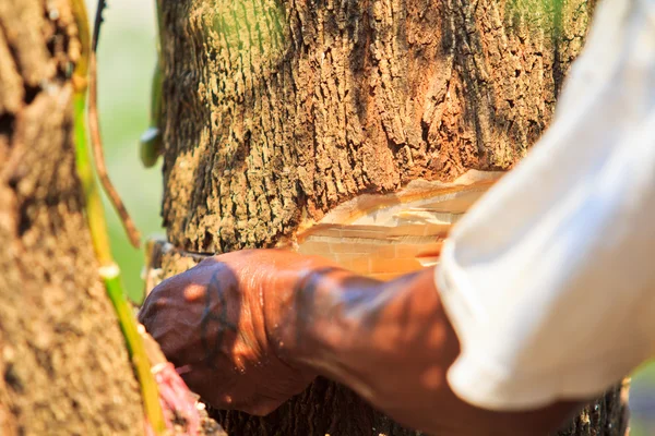 Logger man snijden hout — Stockfoto