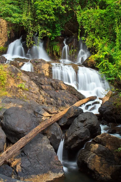 Cascade dans la forêt — Photo