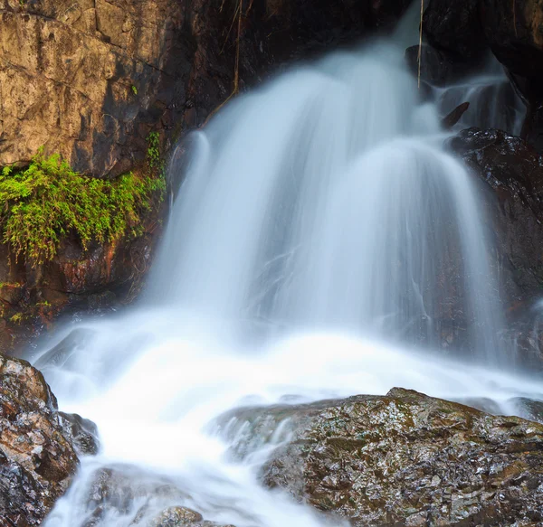 Air terjun di hutan — Stok Foto