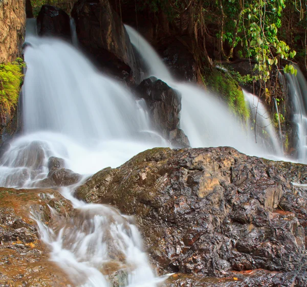 Cascade dans la forêt — Photo