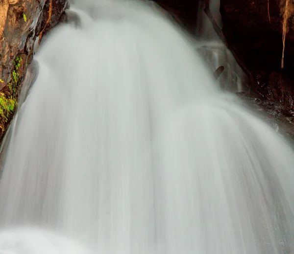 Cascade dans la forêt — Photo