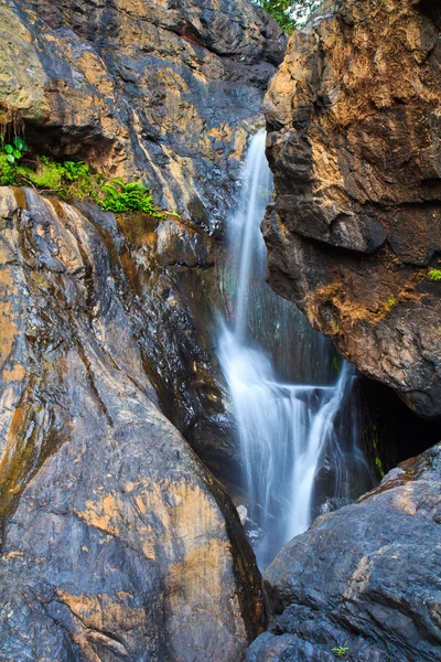 Wasserfall im Wald — Stockfoto