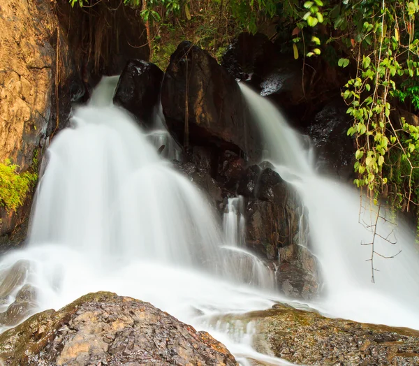 Cascade dans la forêt — Photo