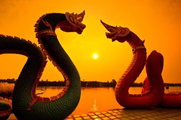 Закат и дракон Змей — стоковое фото