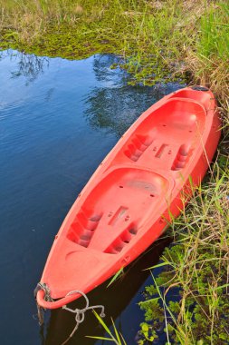 Kayak