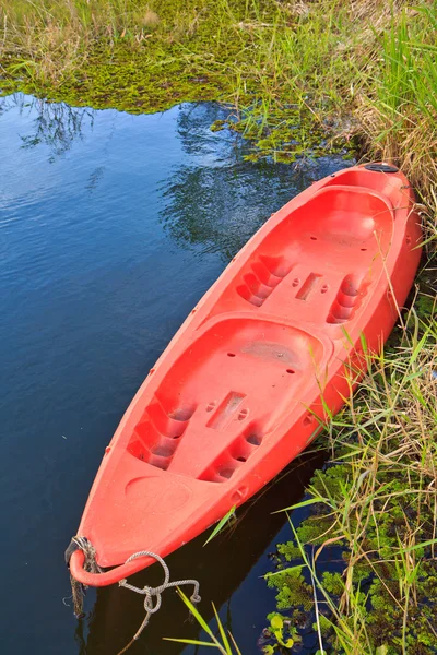 Kayaking — Stock Photo, Image