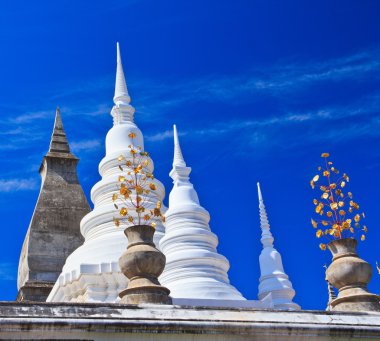 Pagoda wat yasağı den Tapınağı