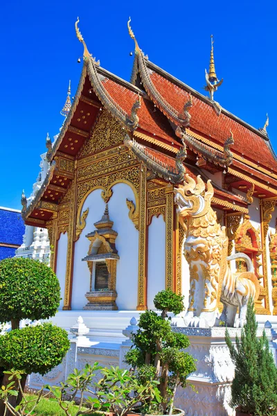 Wat Ban den Temple Maetang — kuvapankkivalokuva