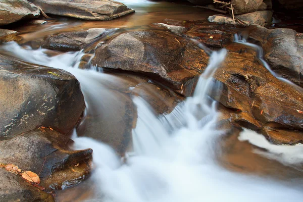 Cascada en el bosque —  Fotos de Stock