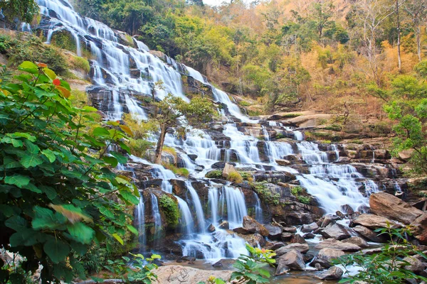 Waterval in het bos — Stockfoto