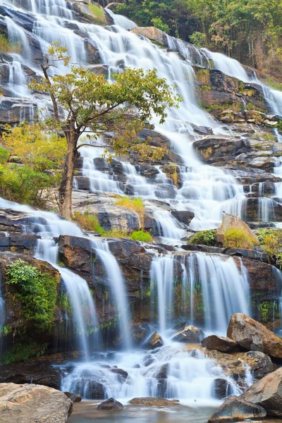 Waterfall in the forest