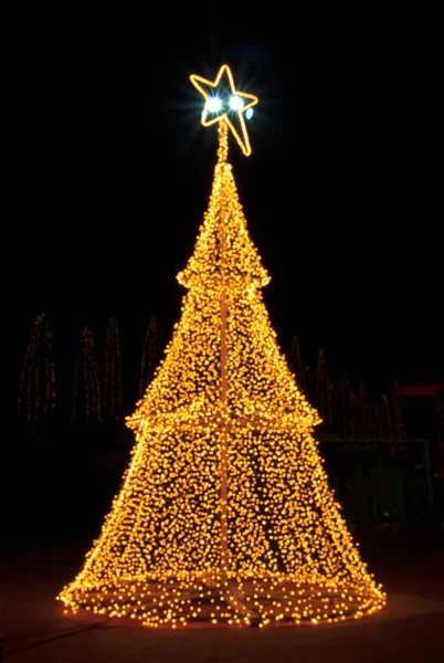 Árvore de natal à noite — Fotografia de Stock