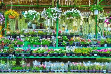 bloemen in bloemenmarkt