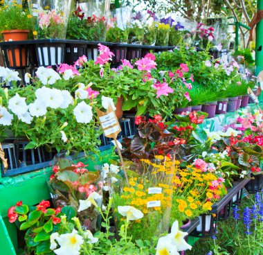 bloemen in bloemenmarkt