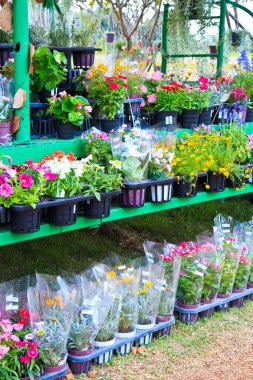 bloemen in bloemenmarkt