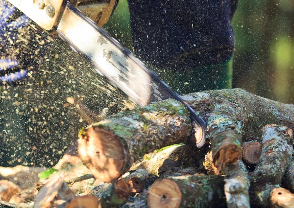 Man cutting firewood — Stock Photo, Image