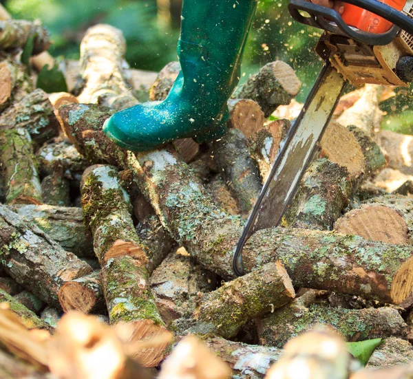 Homem cortando lenha — Fotografia de Stock