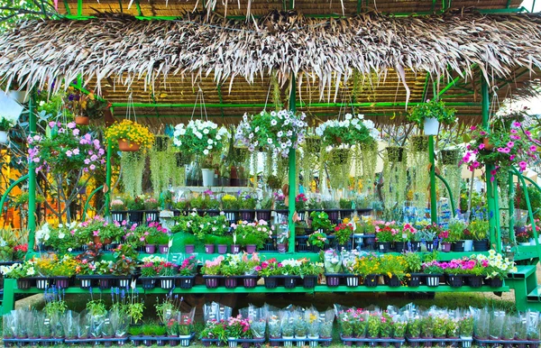 Flores no mercado de flores — Fotografia de Stock