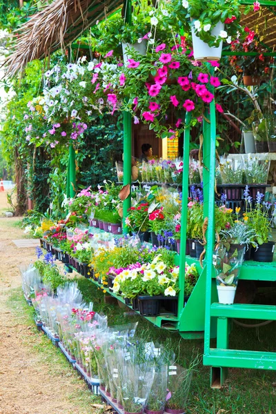 Blommor i blomstermarknaden — Stockfoto