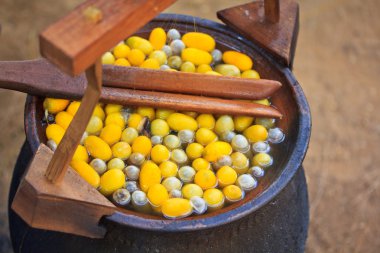 Koza bir tencerede kaynar