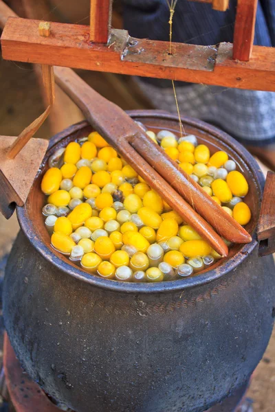 Boiling cocoon in a pot — Stock Photo, Image