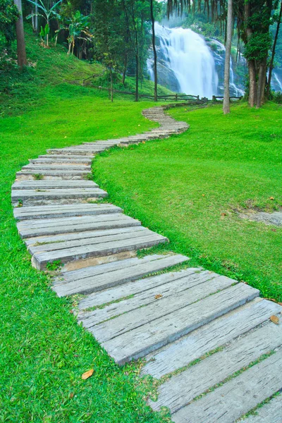 Wandelen in het park — Stockfoto