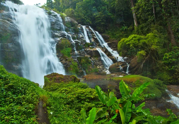 Waterfall in the forest — Stock Photo, Image