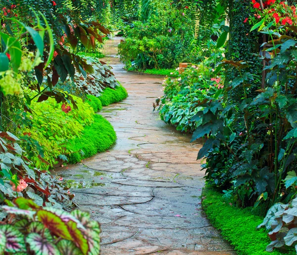 Jardim de flores — Fotografia de Stock