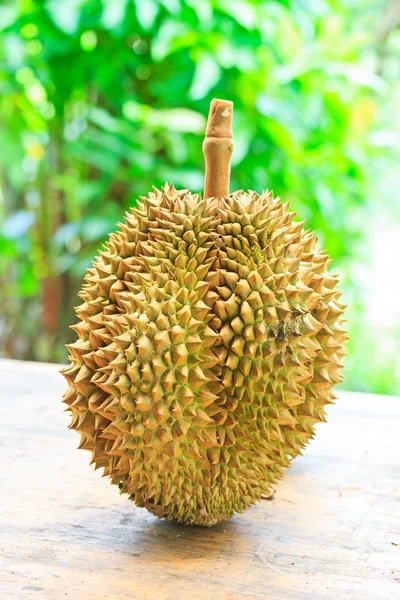 Durian tropiska frukter — Stockfoto