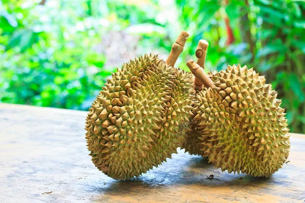 Durian tropiska frukter — Stockfoto