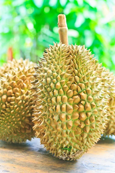 Durian Tropical fruits
