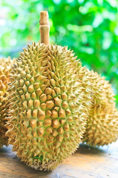 Durian tropiska frukter — Stockfoto