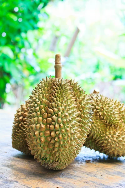 Durian Tropical fruits — Stock Photo, Image