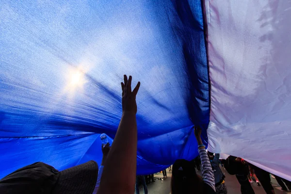 Le grand groupe de manifestants dans les rues — Photo